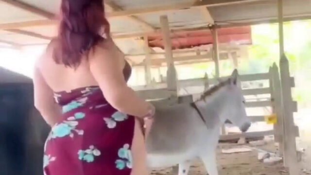 Why People Who Love Donkeys Say They Feel Like Family